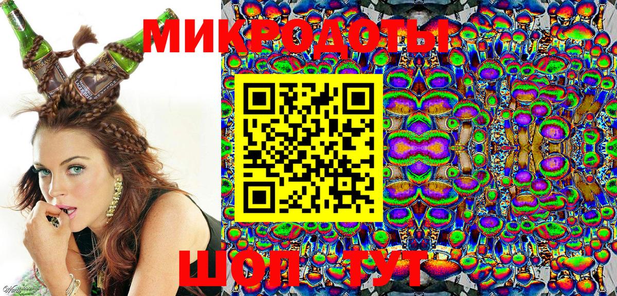 Псилоцибиновые грибы Psilocybine cubensis Ступино
