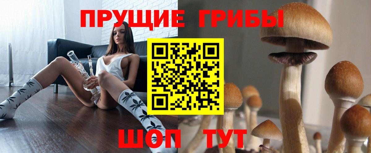 Ступино  Галлюциногенные грибы Cubensis  Вход с VPN 